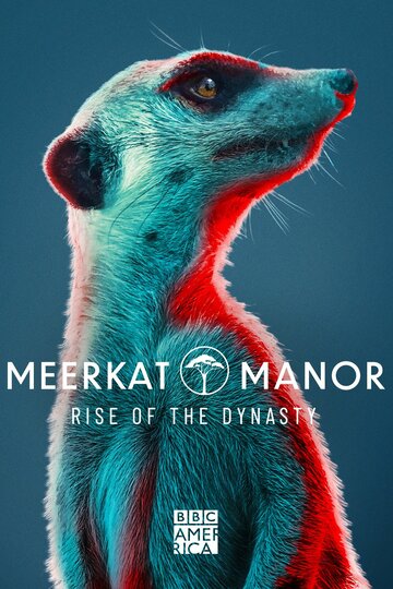 Смотреть Meerkat Manor: Rise of the Dynasty (2021) онлайн в Хдрезка качестве 720p